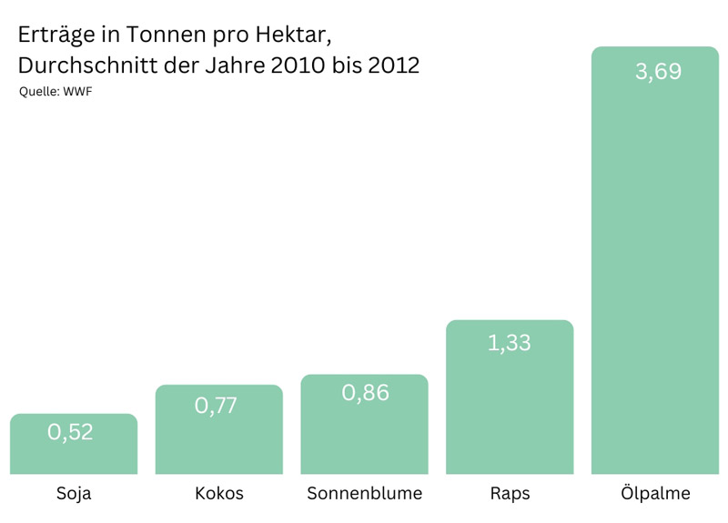 Palmöl Vergleich Ölpflanzen