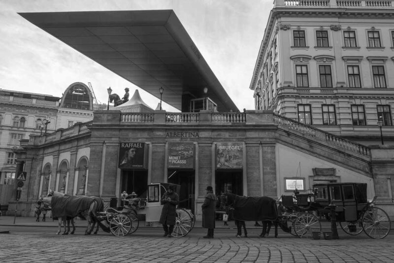 Fiaker Pferde WIen Albertina